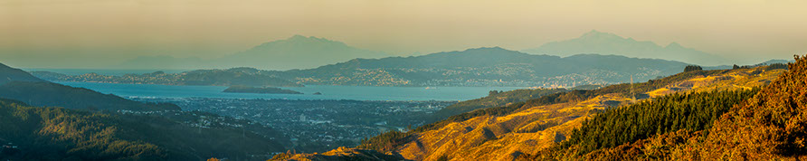 wellington harbour and the hutt valley