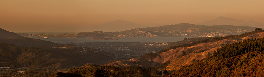 wellington harbour and the hutt valley