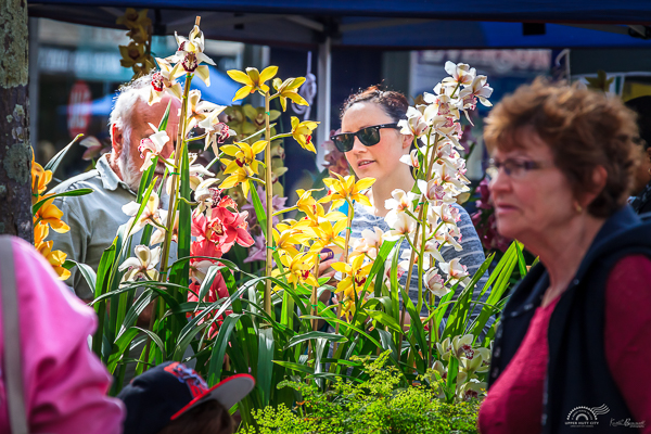 upper hutt spring carnival 2014